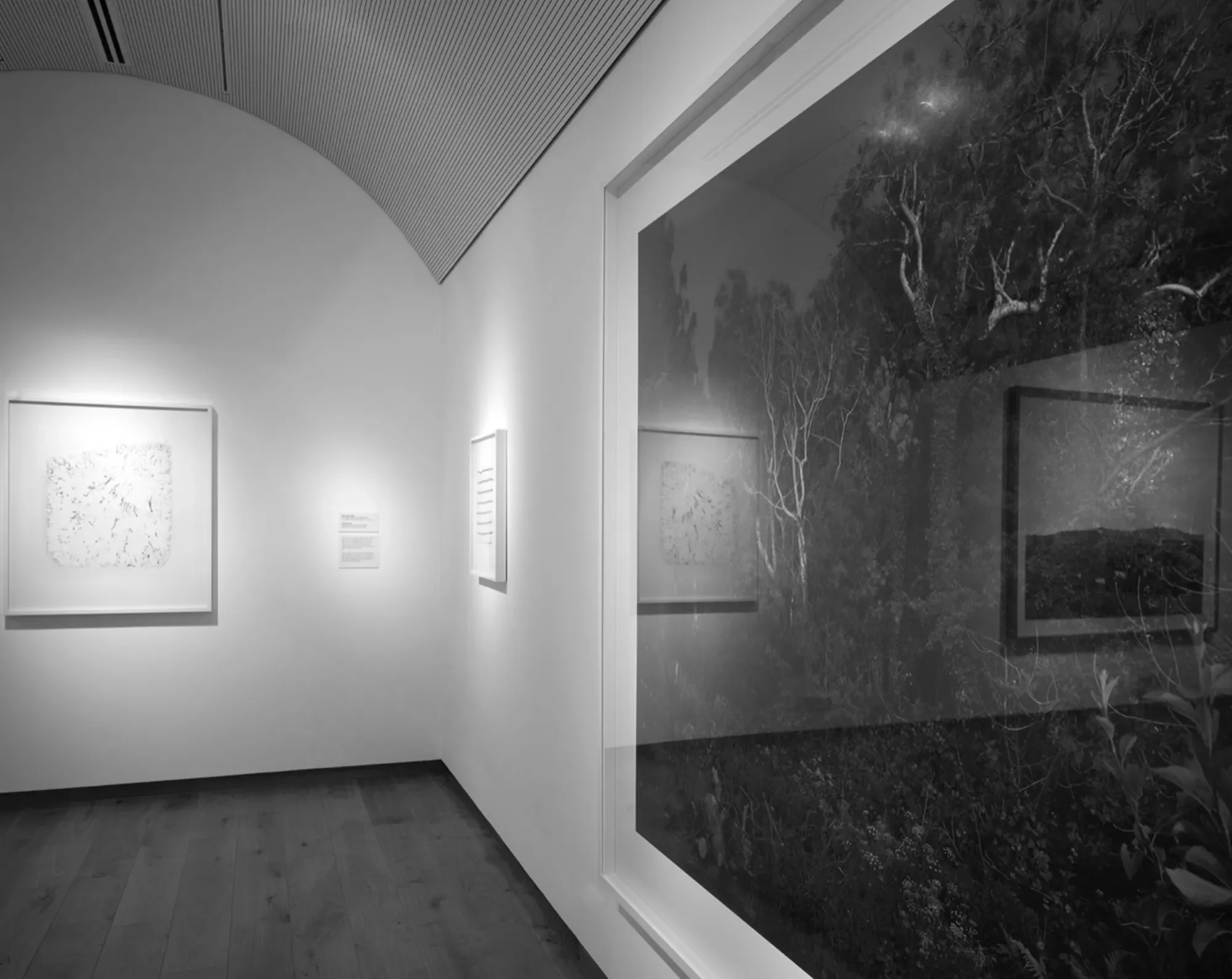 Land/Sea National Museum Wales 2021