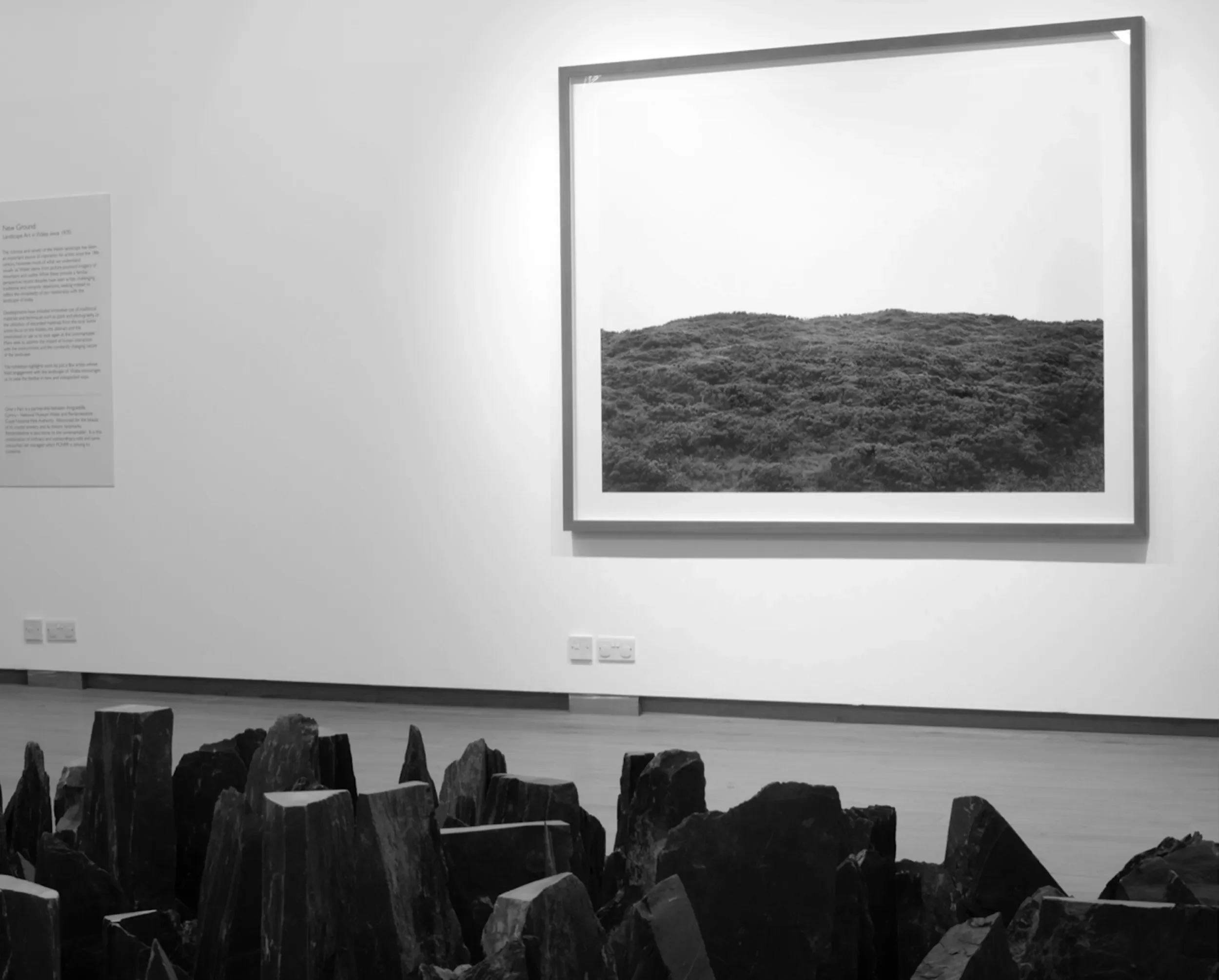 New Ground: Landscape Art in Wales since 1970