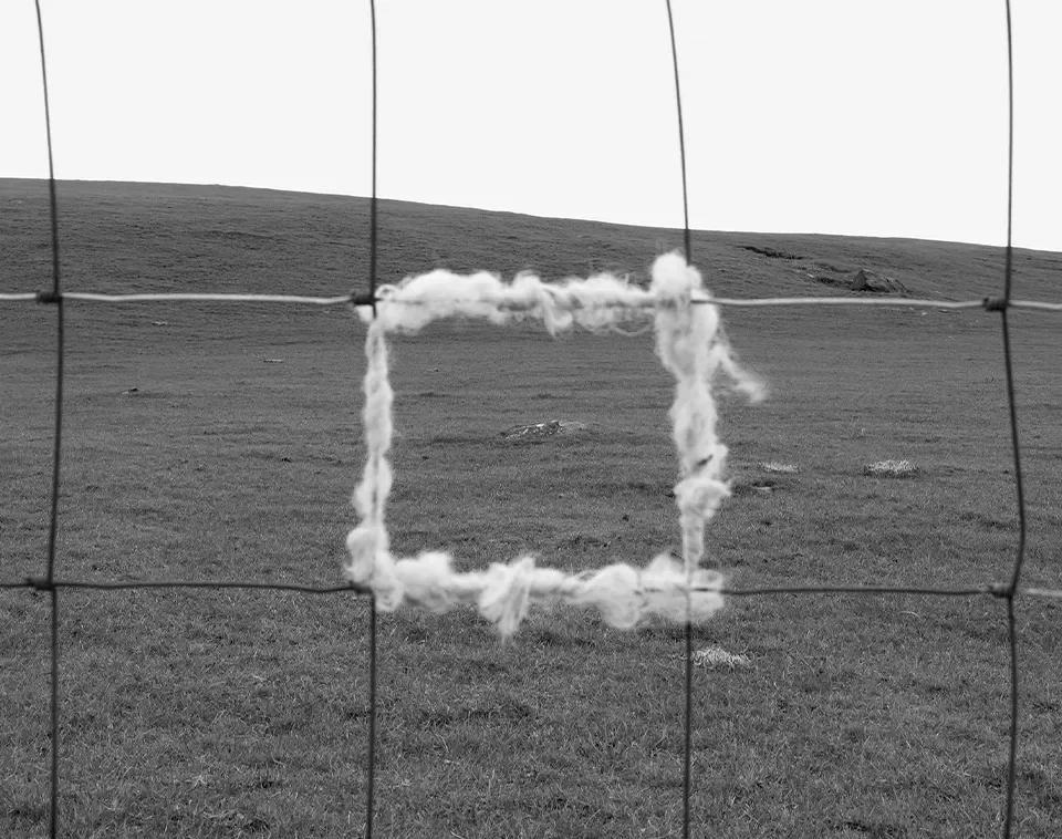 The Royal Academy Summer Exhibition