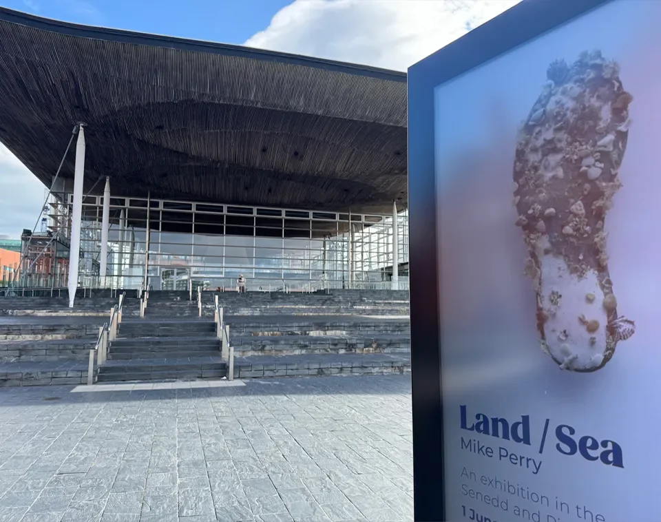 Tir/Môr Senedd Welsh Parliament 2024