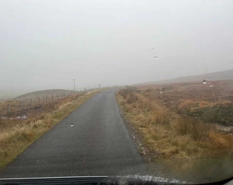 Highland Wilding Project