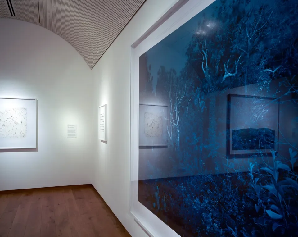 National Museum Wales acquires Mike Perry works