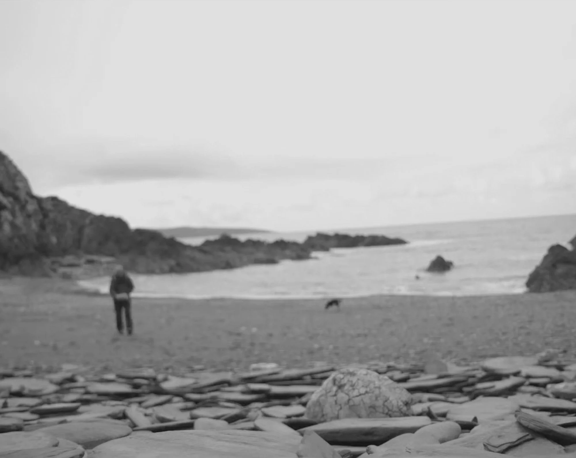 Coastal Currents Artist In Residence