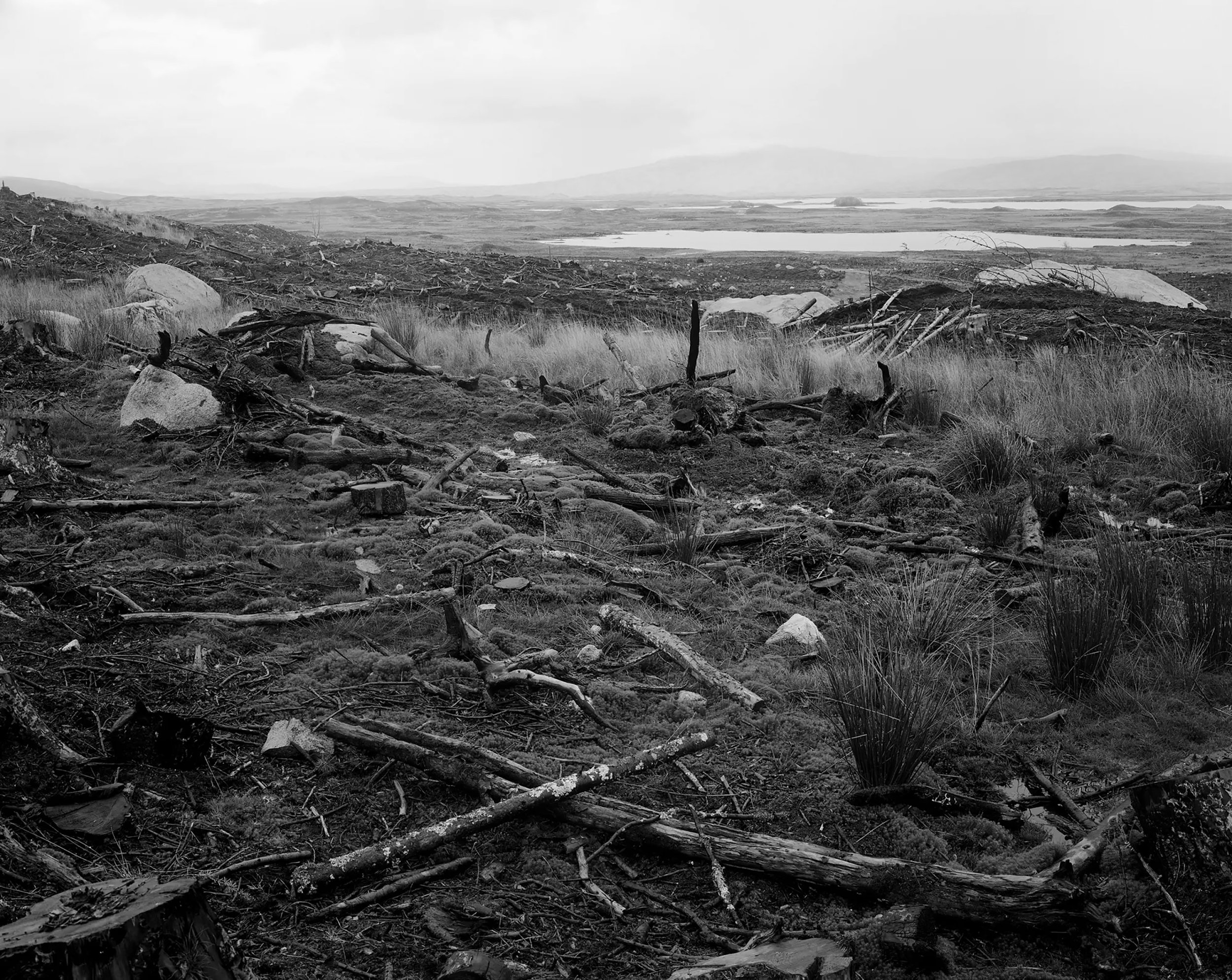 The Earth Only Endures