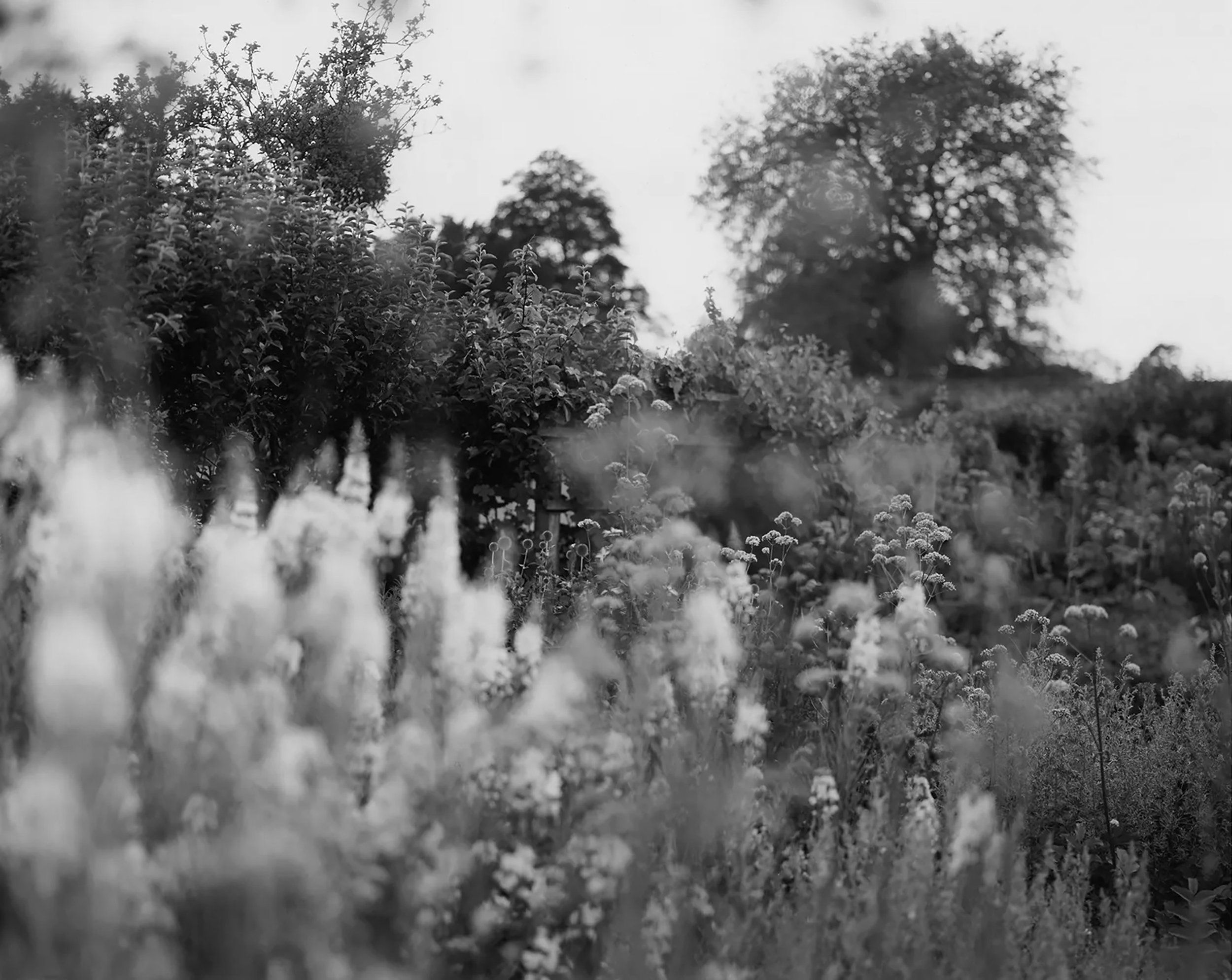 Christies / HHA photographic competition