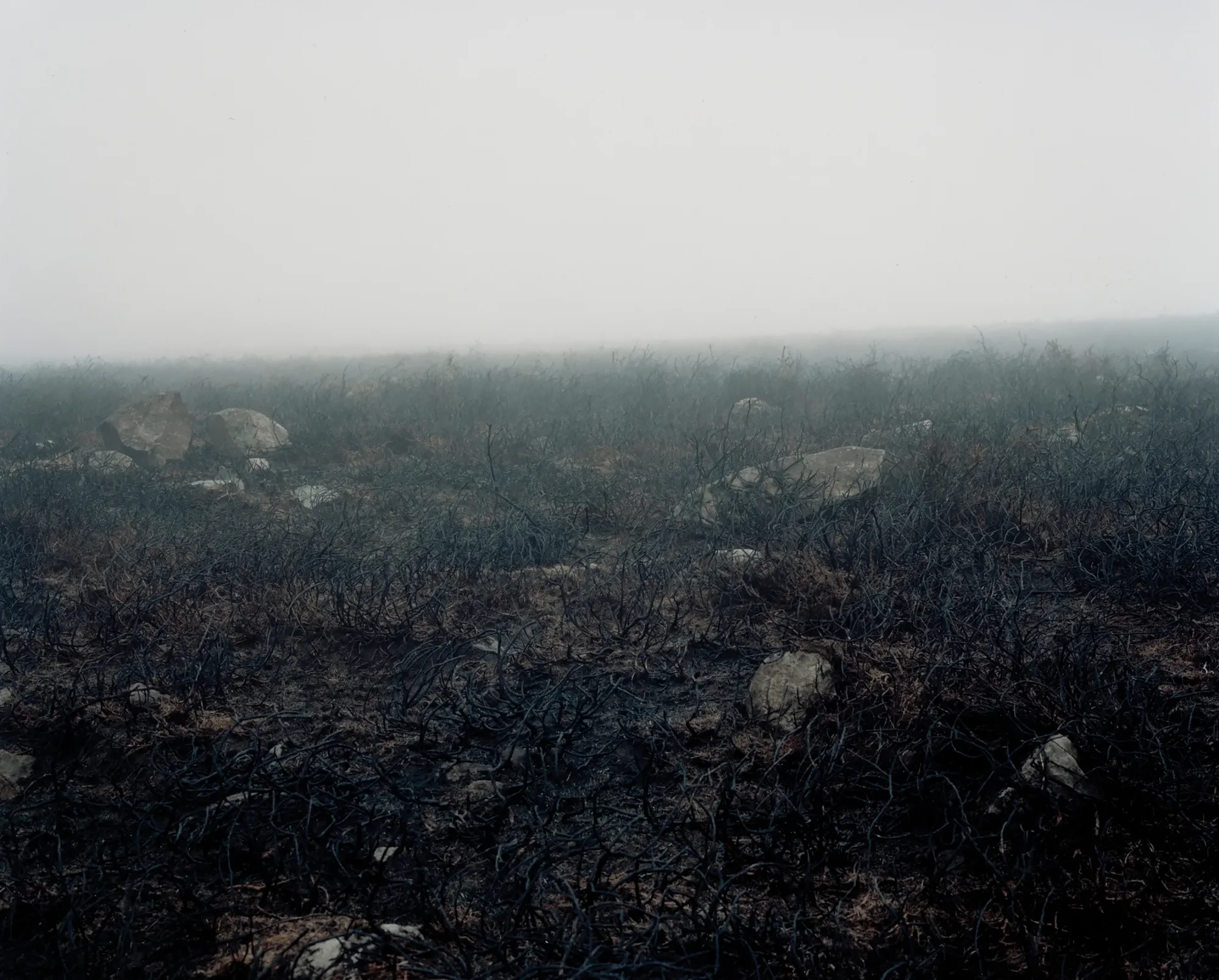 The Earth Only Endures