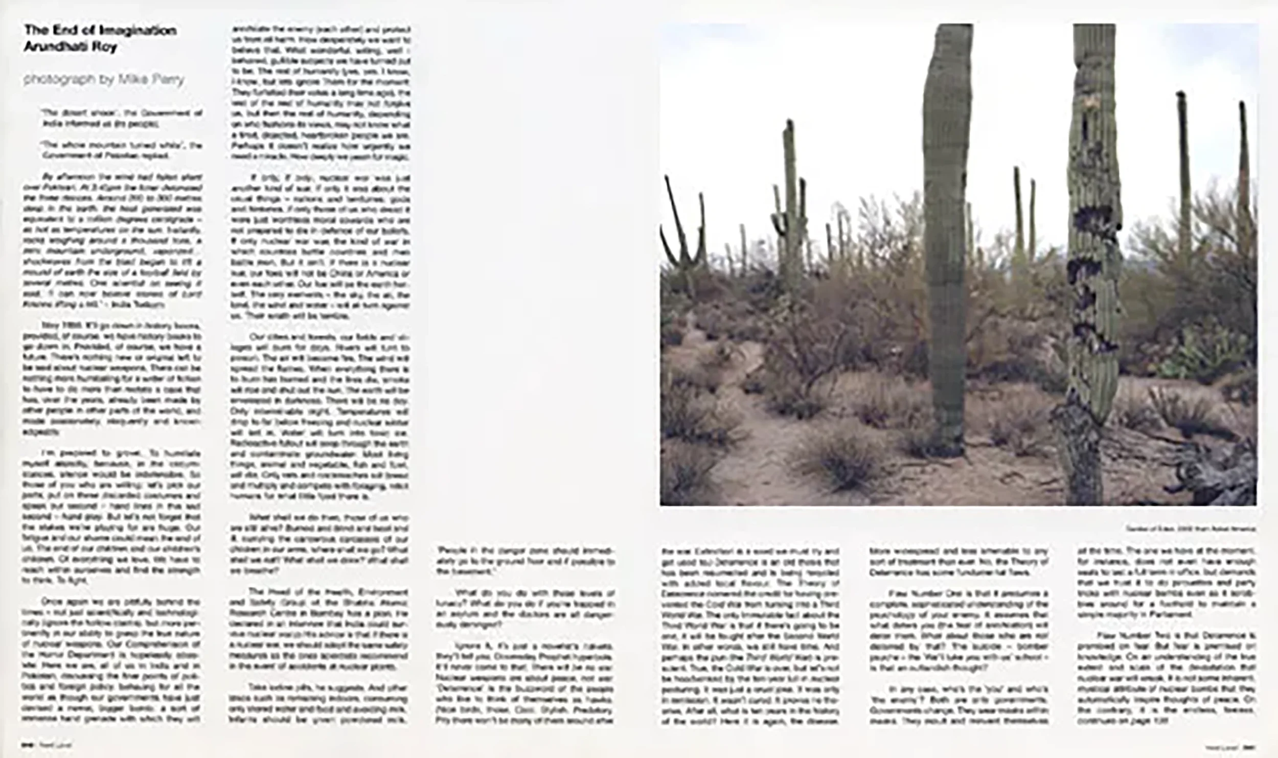 Cactus photograph published in NextLevel