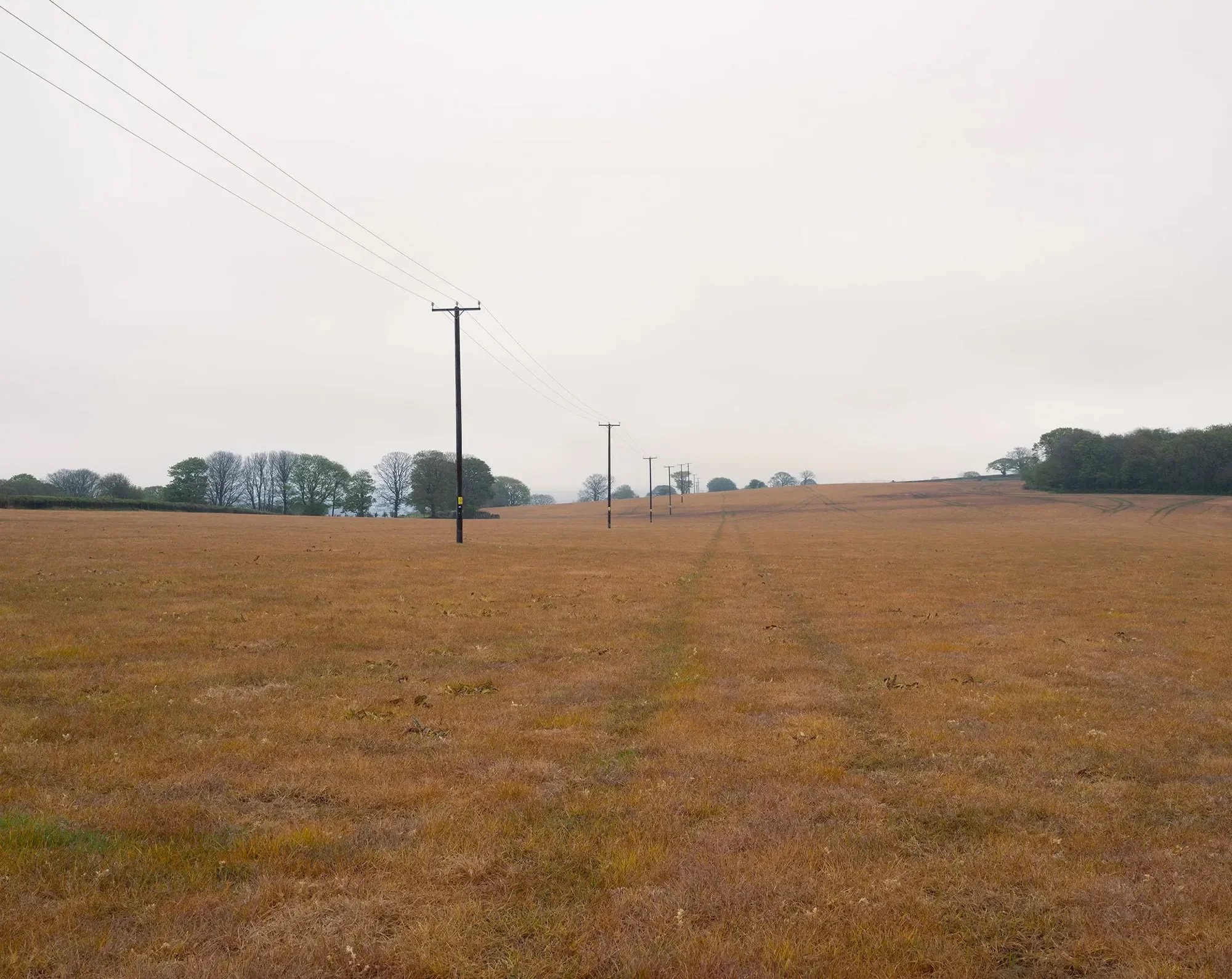 Killing Fields 2023-2025