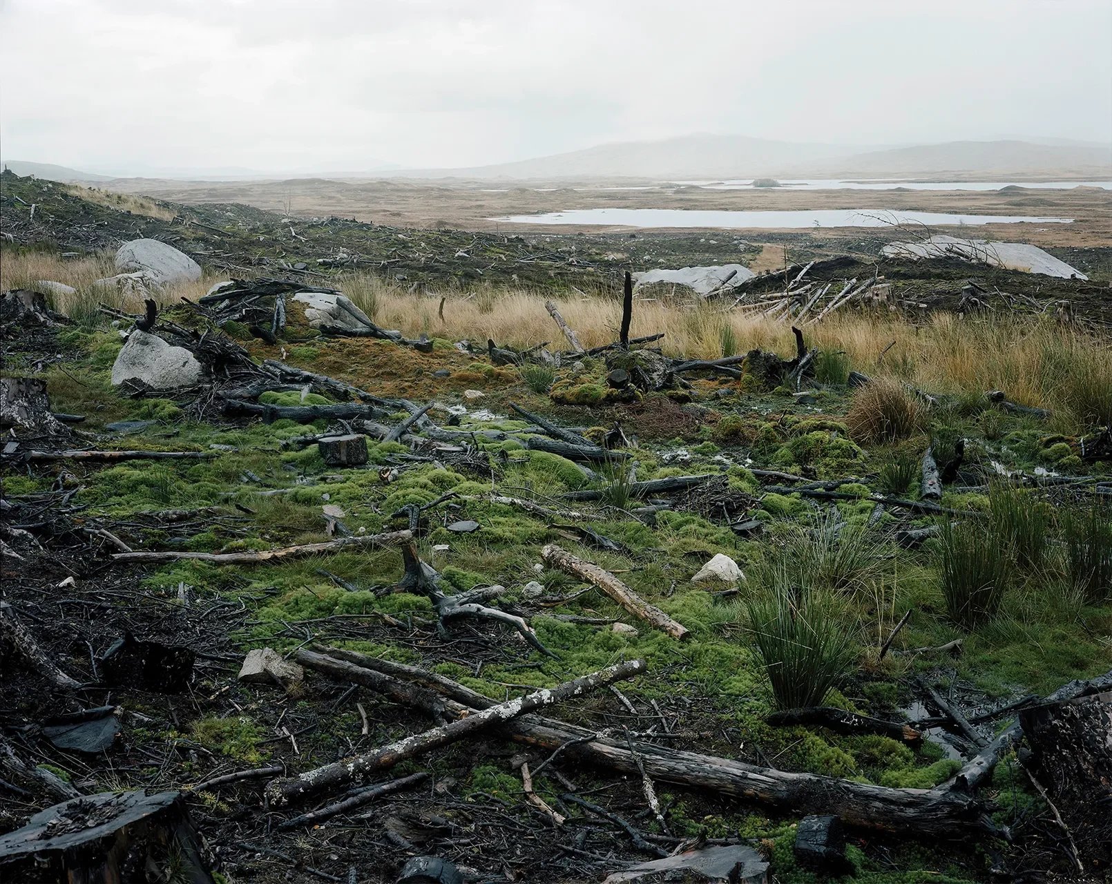 Wet Deserts 2005- 2024