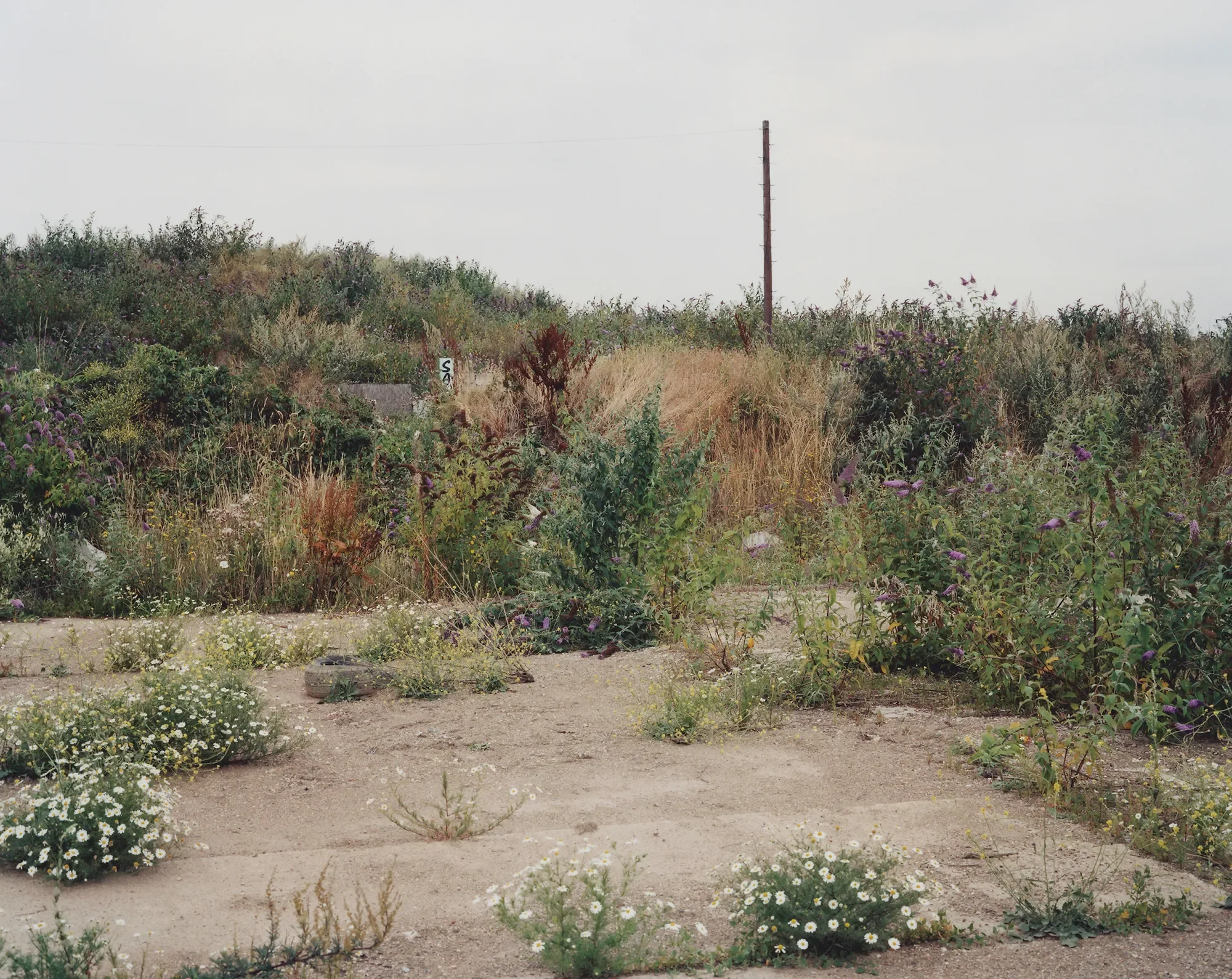 E9: An Anatomy of An Area 2004