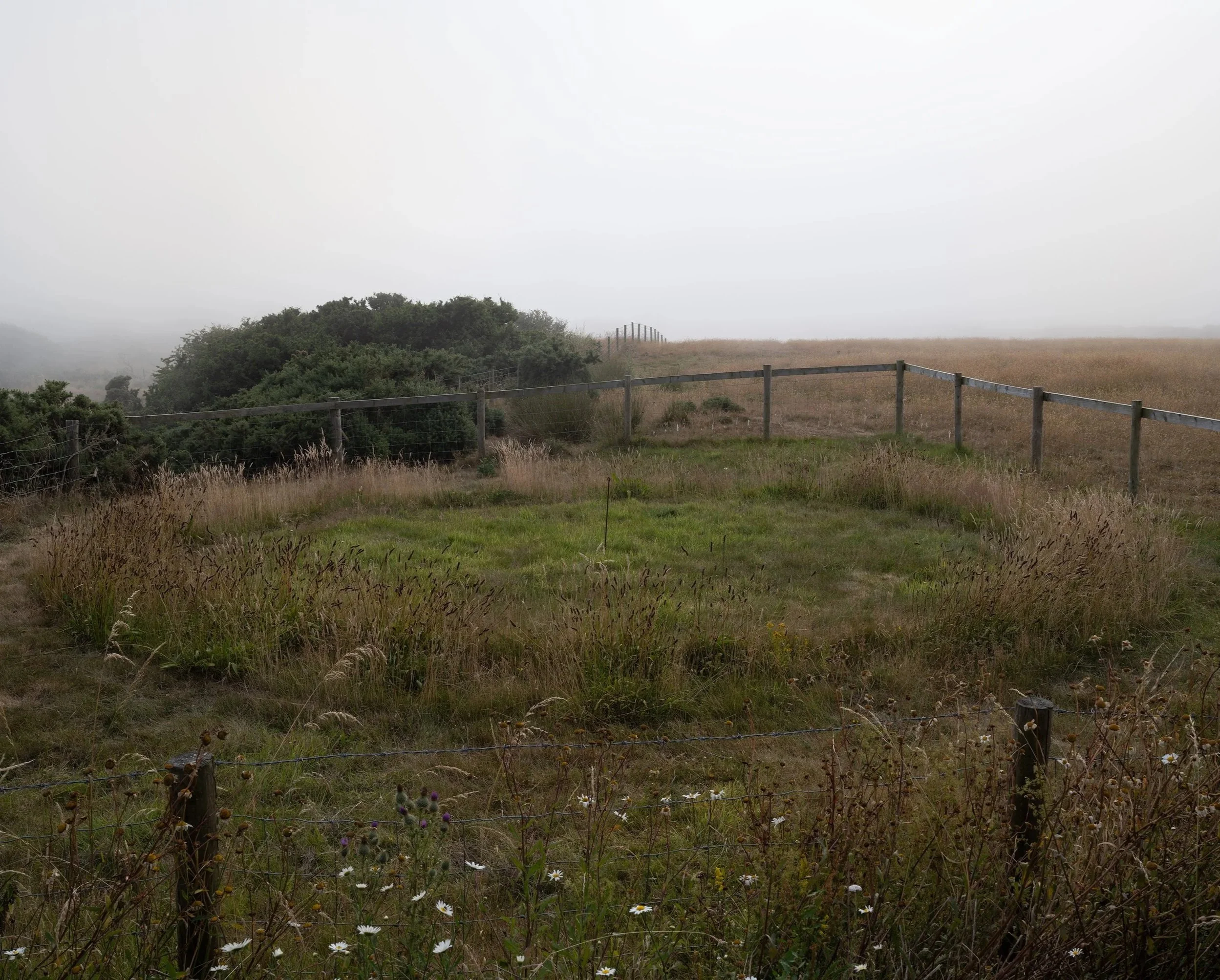 Reverse Sod Swap, Ffynnonofi, W Wales, July 2026