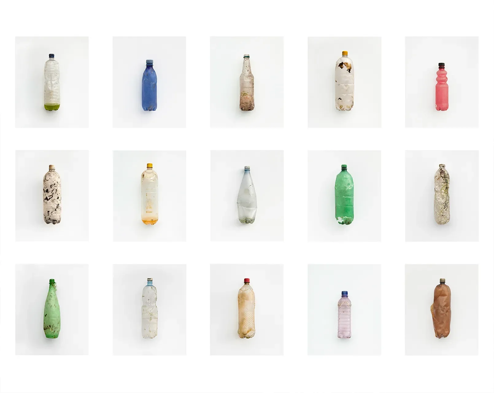 Môr Plastig (Multiples) 2012-2019