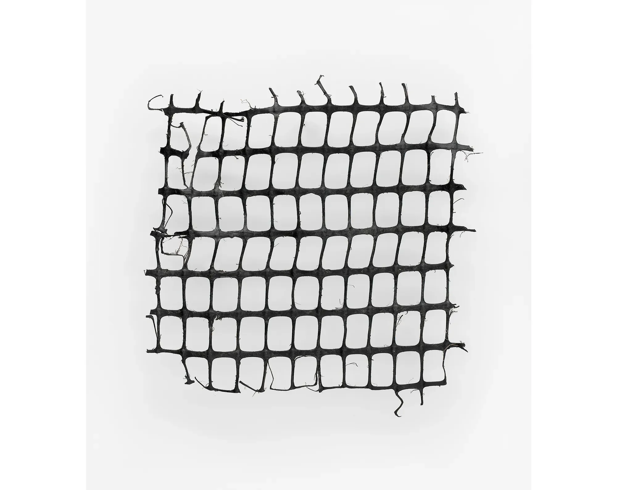 Môr Plastig 2012-2019