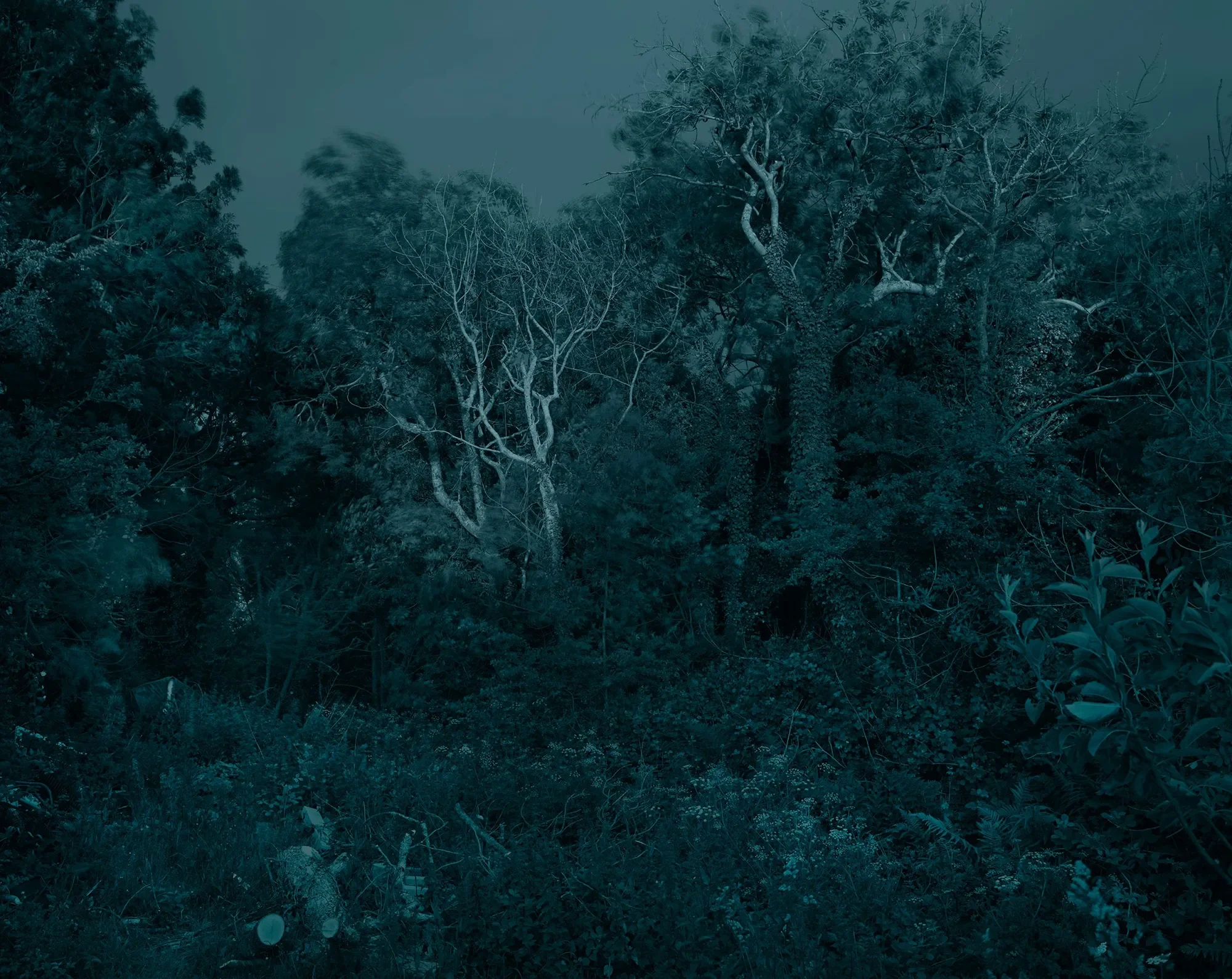 End of Ash 2020-2023