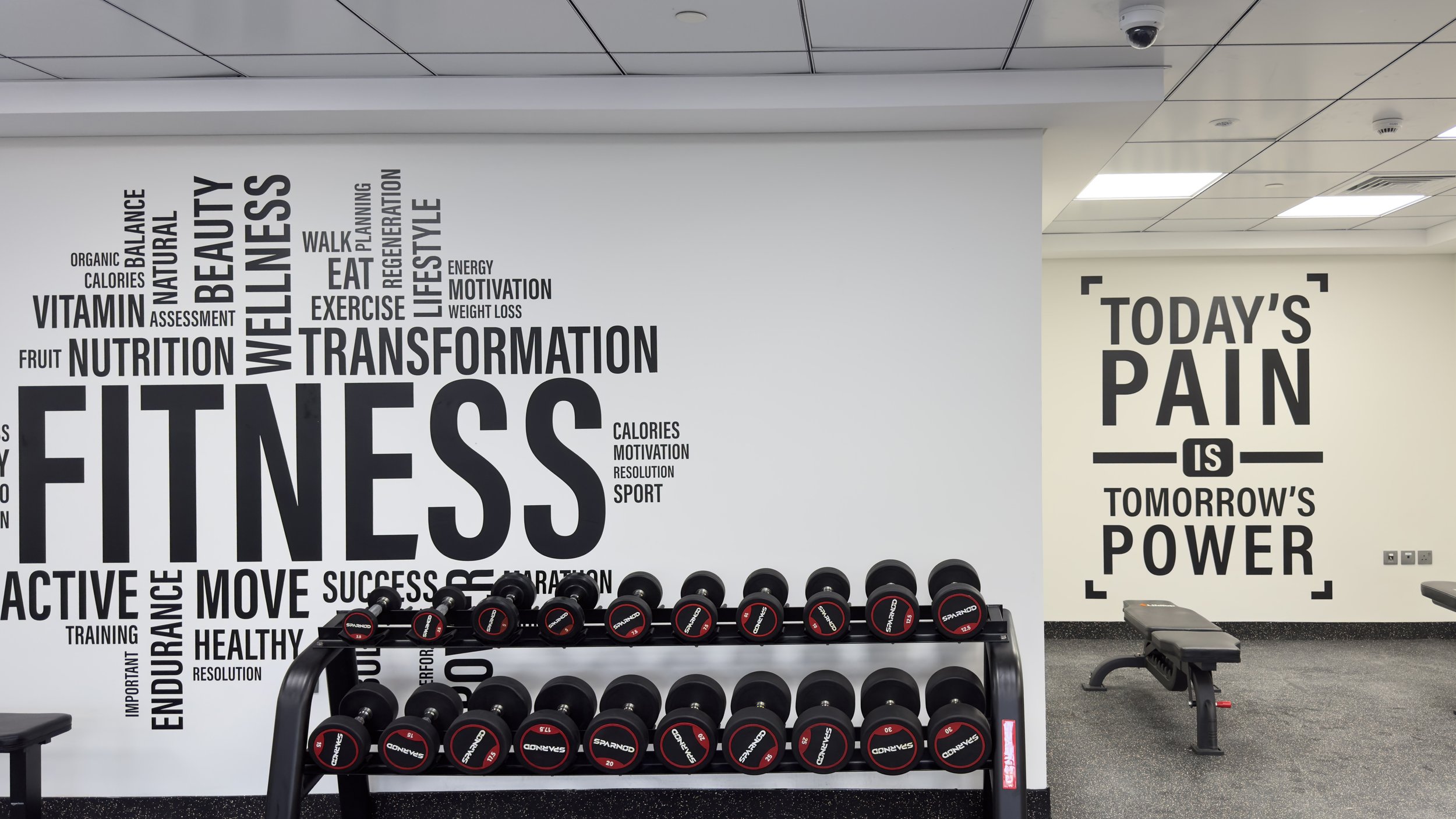 gym 2.jpg