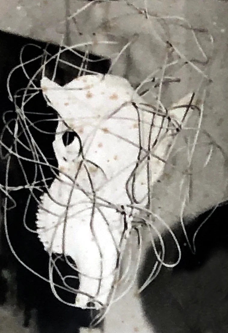 焦跃明 作品 Jiao Yaoming 
生态平衡 2# Ecological balance
金属焊接 Metal welding
Xiamen 1983