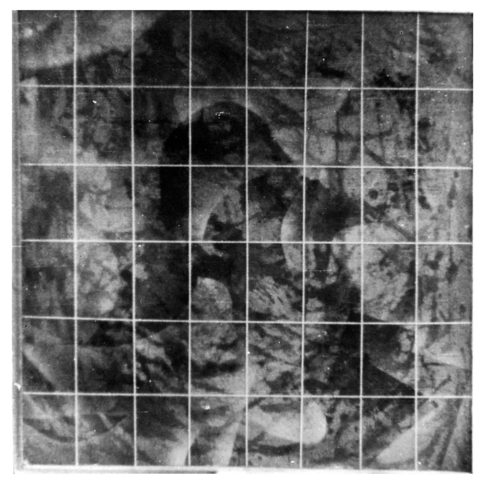 林嘉华 Lin Jiahua 
油画 Oil on Canvas ( 色彩 was colour)
厦门 Xiamen 1983