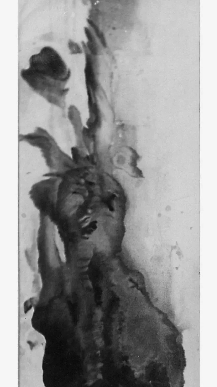 俞晓刚 Yu Xiaogang 
水墨 宣紙 Ink and wash on rice paper. 1983 