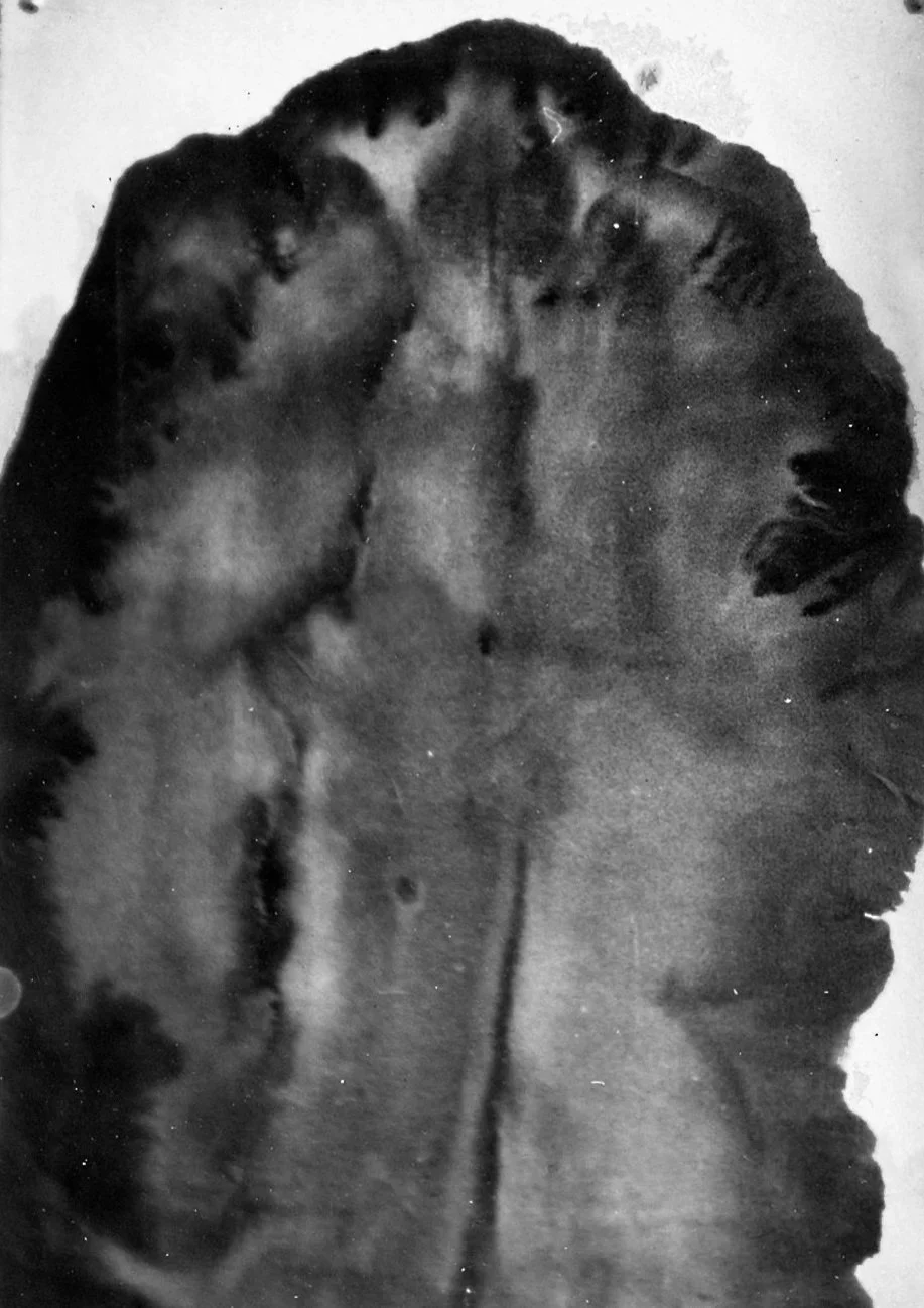 俞晓刚 Yu Xiaogang 
水墨 宣紙 Ink and wash on rice paper. 1983 