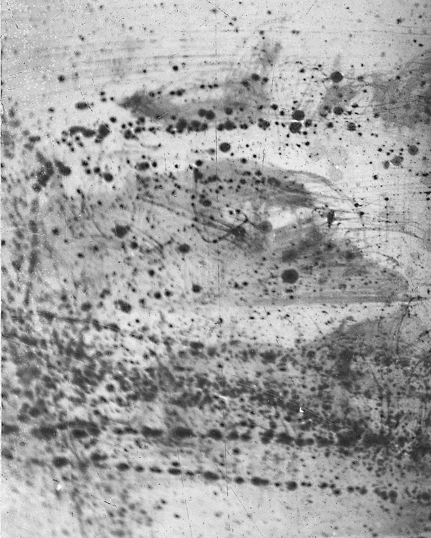 俞晓刚 Yu Xiaogang 
水墨 宣紙 Ink and wash on rice paper  1983