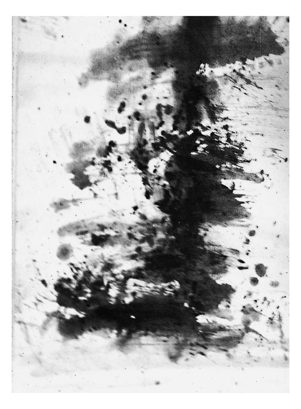 俞晓刚 Yu Xiaogang 
水墨 宣紙 Ink and wash on rice paper 1983 