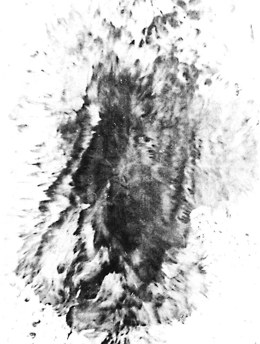 俞晓刚 Yu Xiaogang 

水墨 宣紙 Ink and wash on rice paper  1983