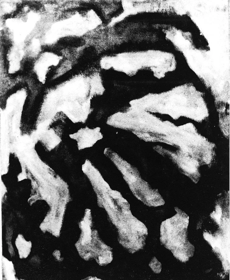 林嘉华 Lin Jiahua
油画 Oil on Canvas. (色彩 was colour)

 
