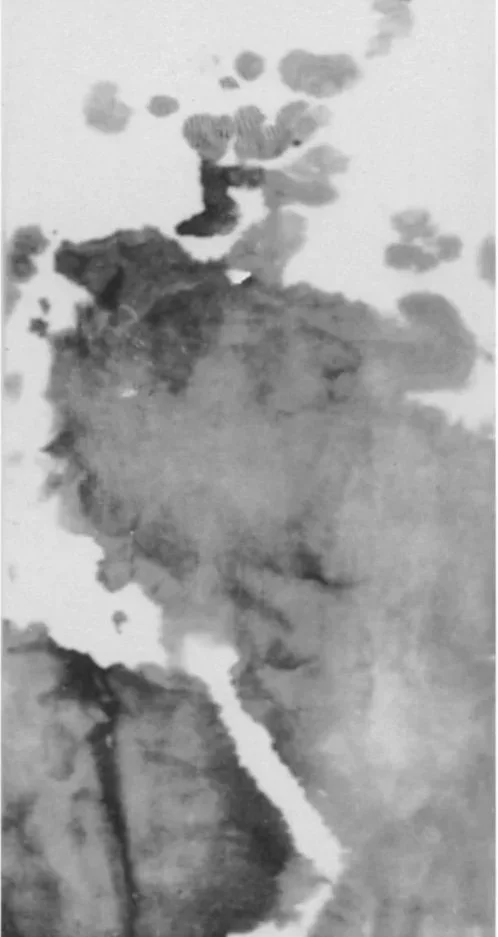 俞晓刚 Yu Xiaogang 
水墨 宣紙 Ink and wash on rice paper. 1983 