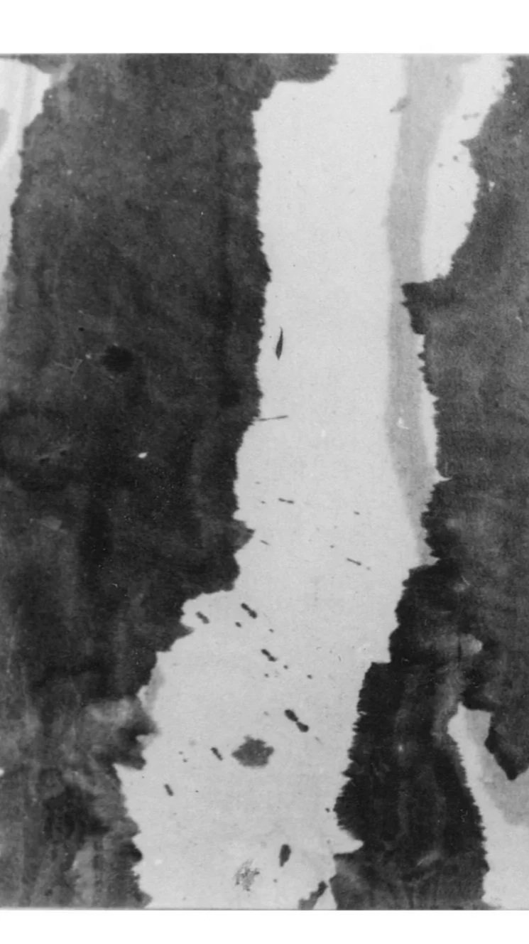 俞晓刚 Yu Xiaogang 
水墨 宣紙 Ink and wash on rice paper. 1983 
