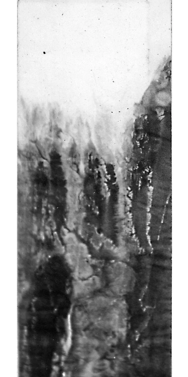 俞晓刚 Yu Xiaogang 
水墨 宣紙 Ink and wash on rice paper 1983 