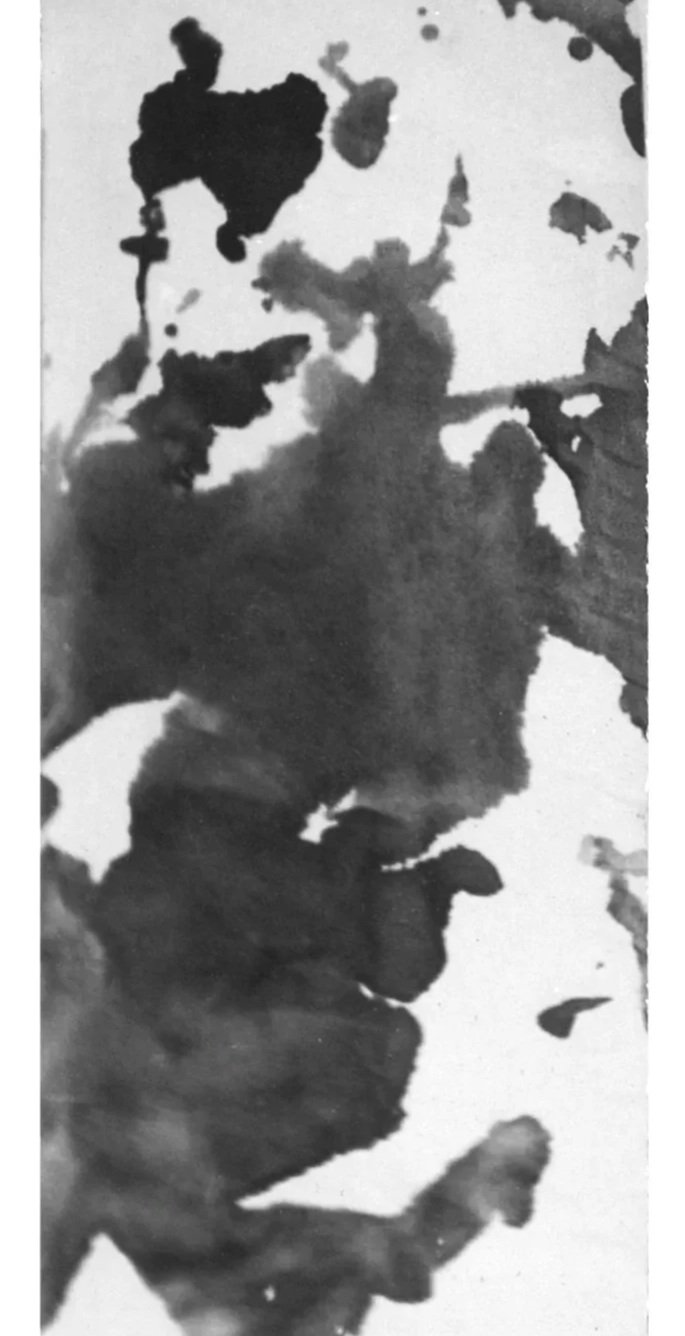 俞晓刚  Yu Xiaogang 
水墨 宣紙 Ink and wash on rice paper 1983