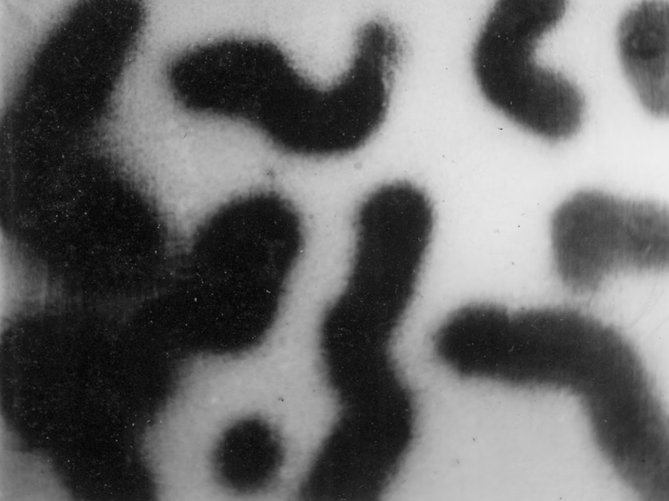 黃 永砯 Huang Yong ping  
喷漆 Spray paint on canvas  
700 x 880
Xiamen 1983