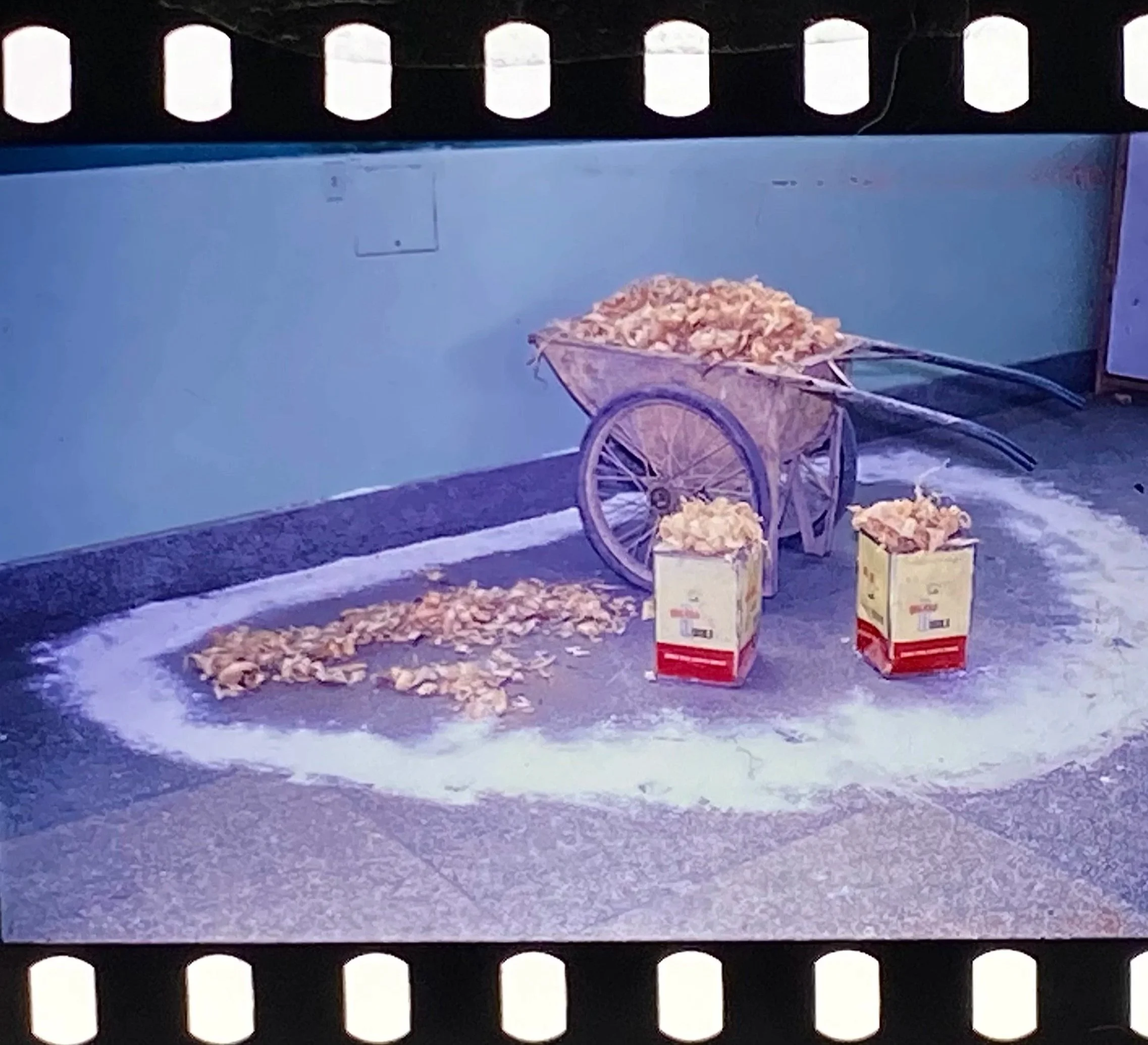 推动中国开放 Promoting China's opening up
发生在福建省美术展览馆内的事件展览
Exhibition of events that occurred at the Fujian Provincial Art Museum
Fuzhou China  Dec 1986 
俞晓刚摄影 Photography by Yu Xiaogang 