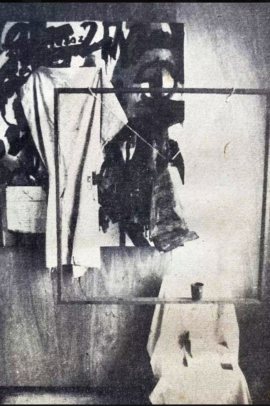 蔡立雄 Cai Lixiong 
色彩 was in colour 己焚烧 It was burned
1986