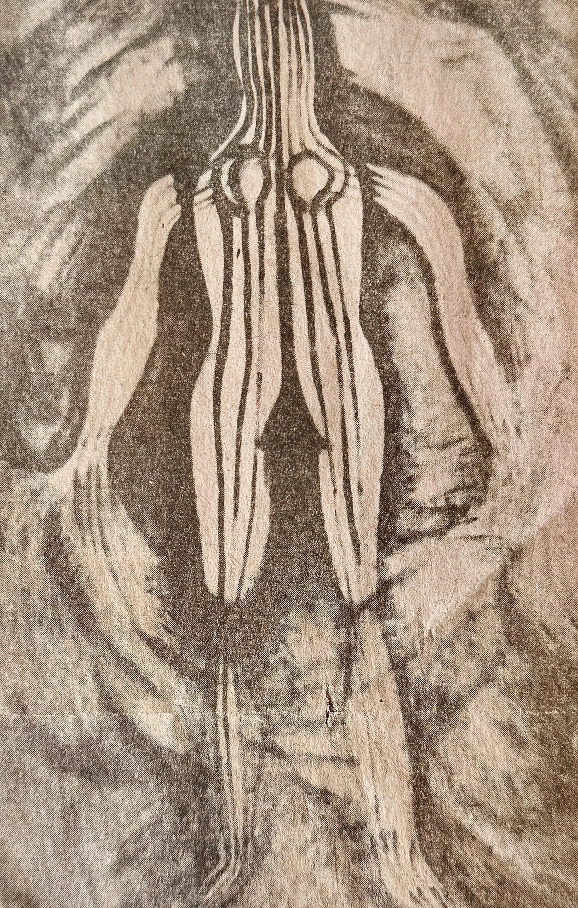 林春 Lin Chun
油画 Oil on Canvas ( 色彩 was in colour) 1986  
1000 x 1500 