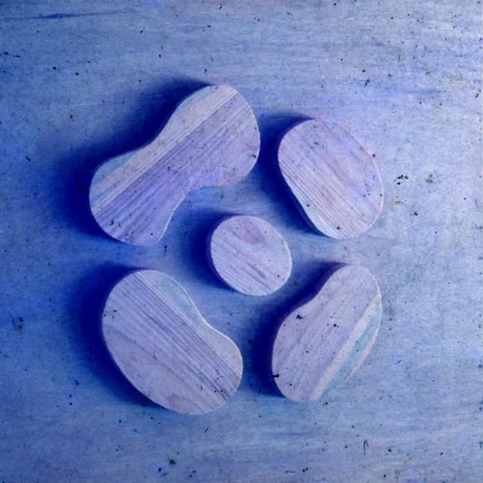 黄永砅 Huang Yong Ping   

(己焚烧 It was burned) 1986