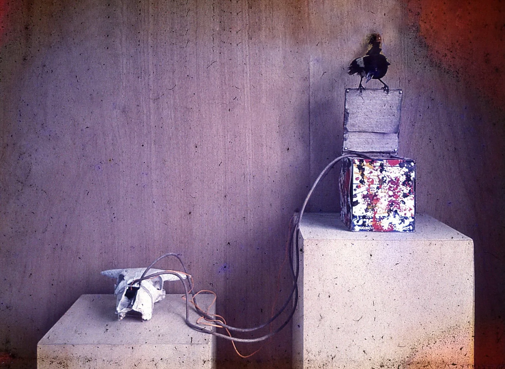 焦跃明 Jiao Yaoming 
不合时宜的对话 Inappropriate dialogue (actual object)
(己焚烧 It was burned) 1986