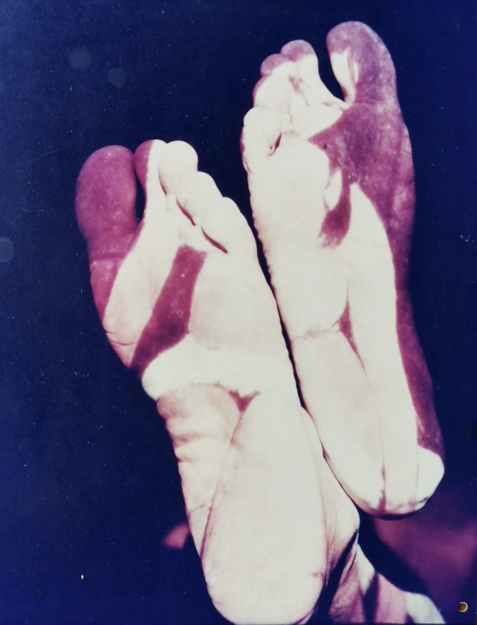 林嘉华  Lin Jiahua
进入美術史的幻燈活动 
A Slideshow into Art History
亞美迪歐·莫迪利亞尼的作品投射在林的腳底上
Amedeo Modigliani's work is projected onto Lin's soles of feet 
1988 