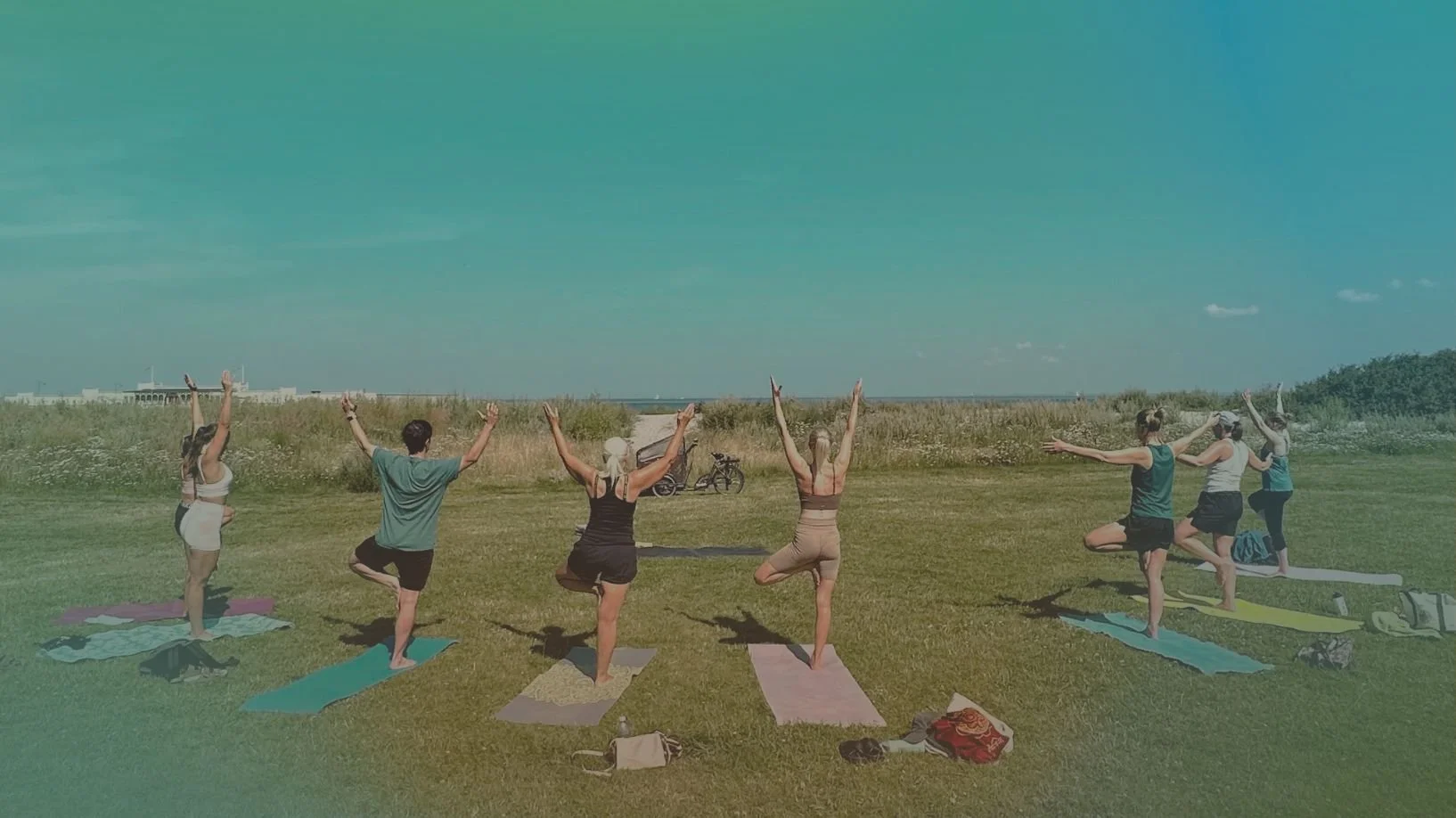 VINYASA YOGA open level-3.jpg