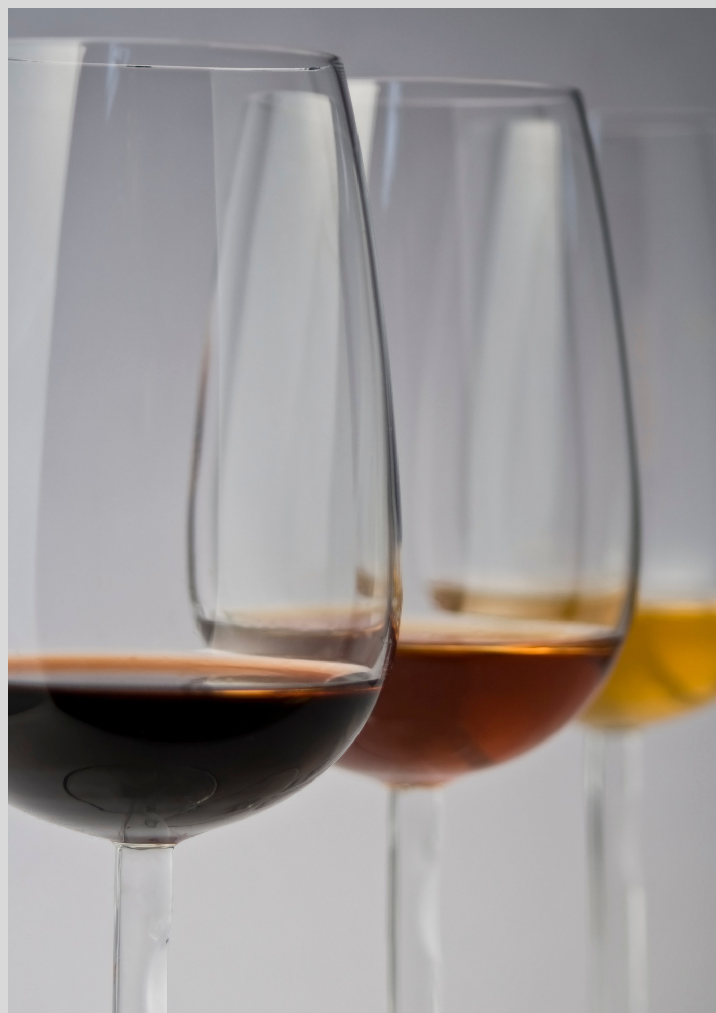 Wine Tasting Evening + Exhibition Experience | 25 April 2026 — 18:00