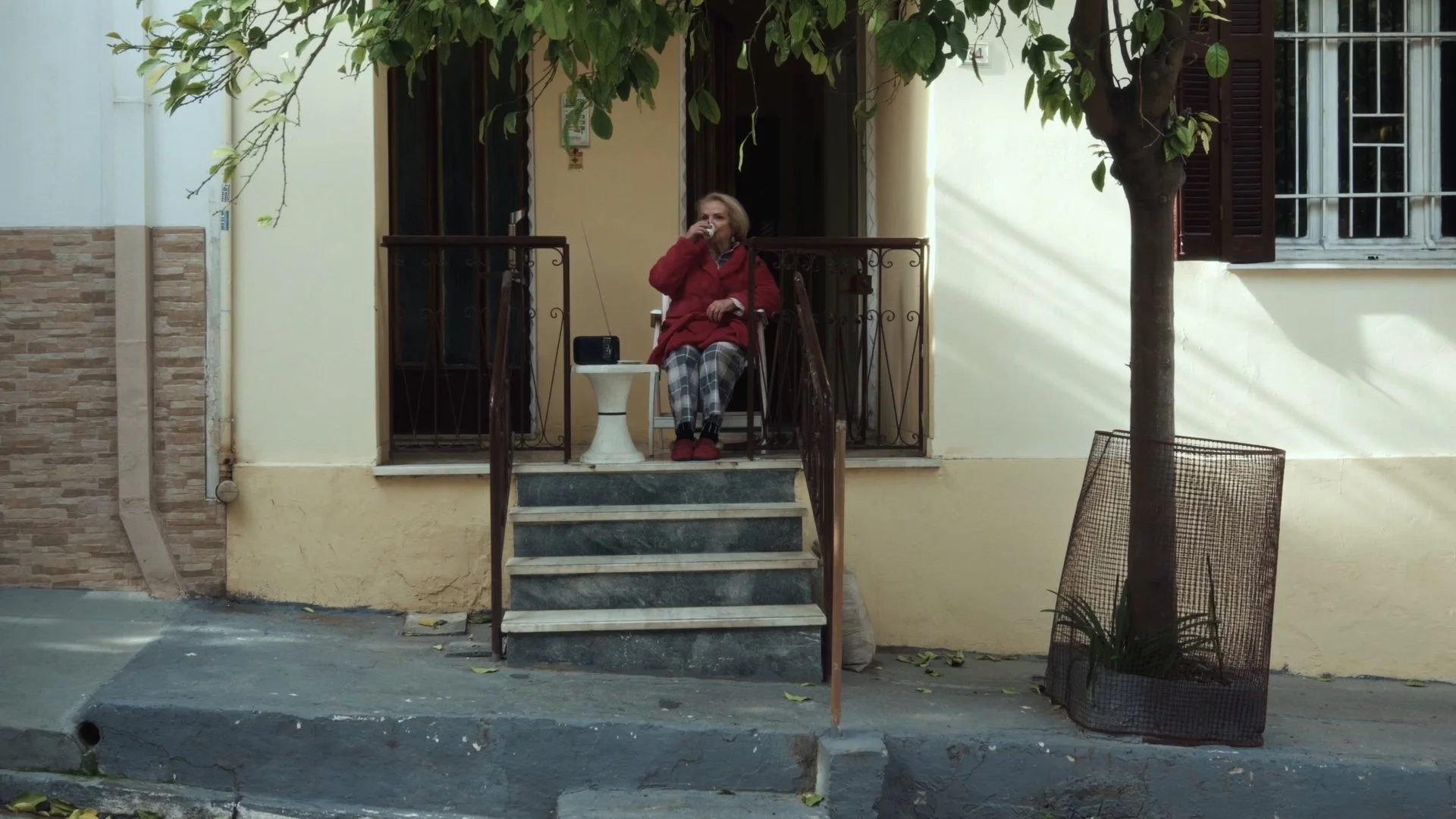 Still 2026-02-24 022022_1.5.1.jpg