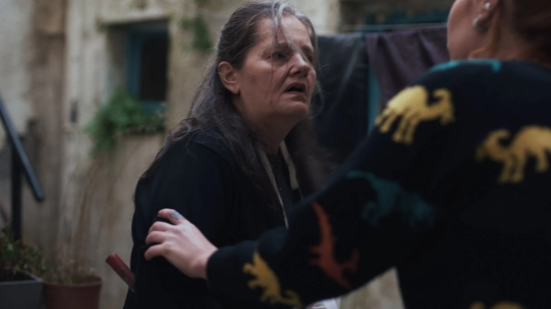 Still 2026-02-24 022022_1.25.1.jpg