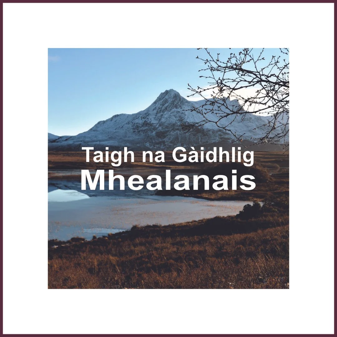 Taigh na Gàidhlig Mhealanais Facebook Page