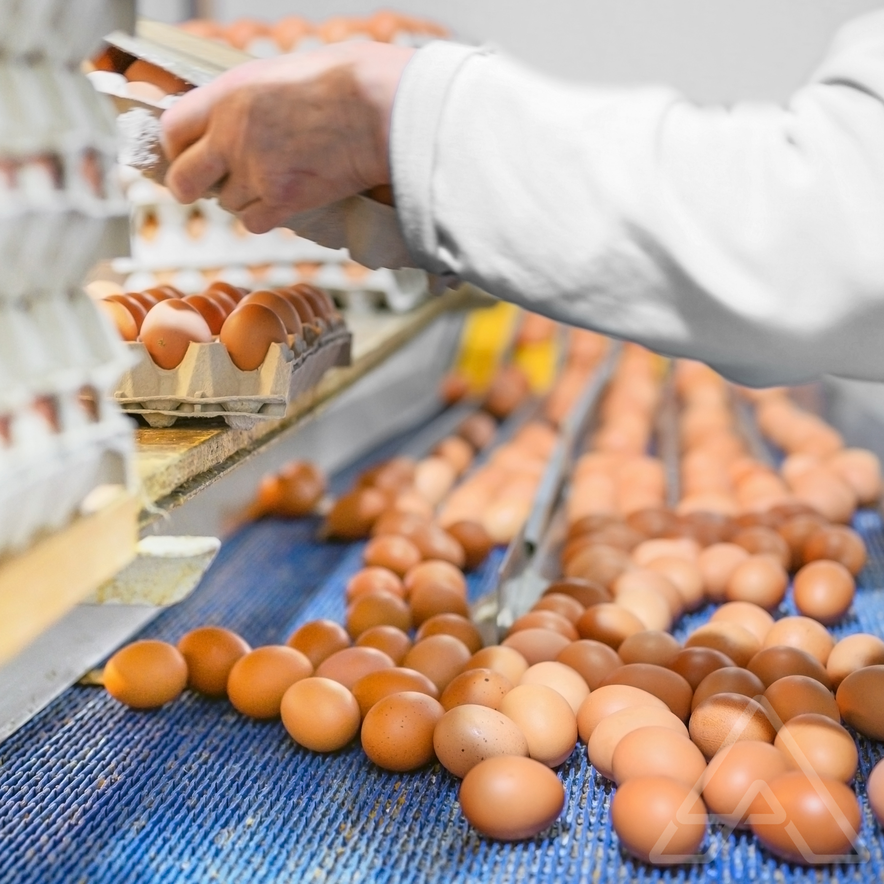 Spring Hiring Season: Why March–April Is the Ideal Time to Strengthen Your Temporary Workforce