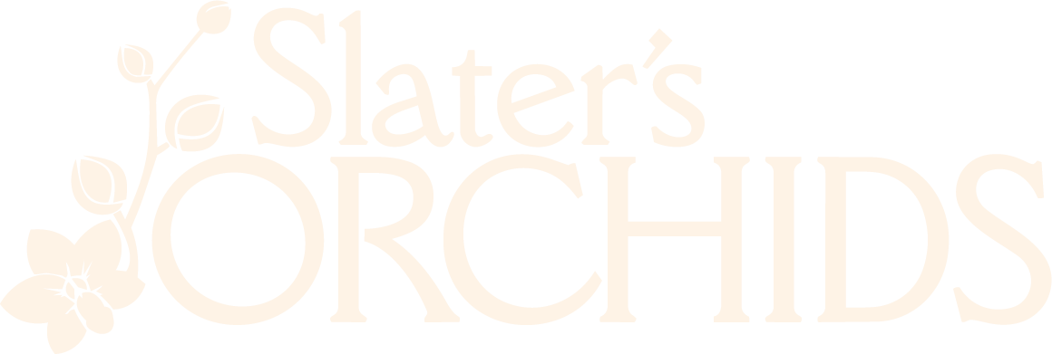 Slater's Orchids