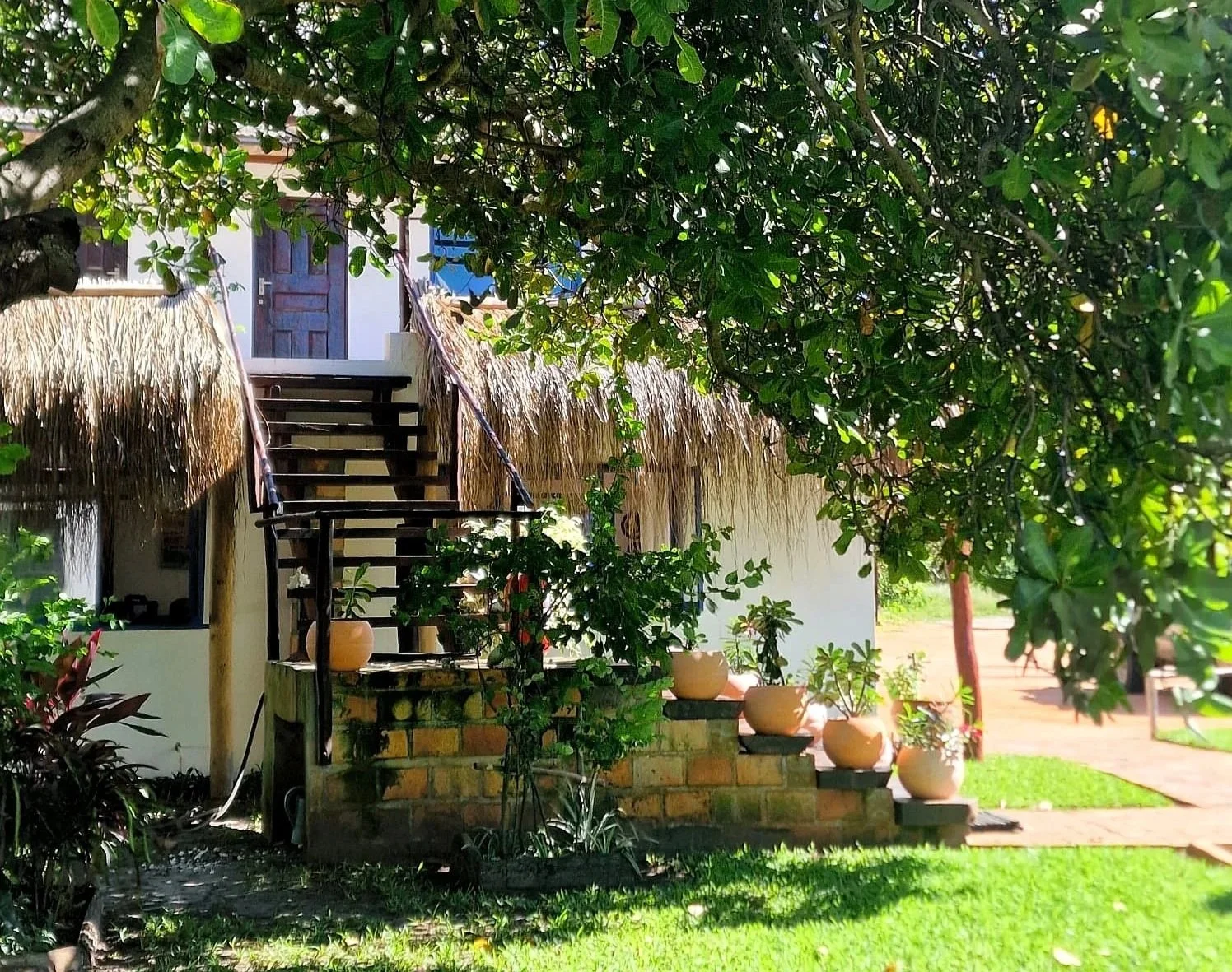 A tropical house with a thatched roof and outdoor stairs leading to a door. The area is shaded by a large leafy tree, and there are potted plants and a grassy yard.