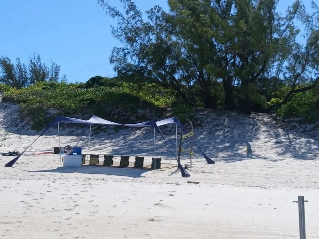 A beach scene with a blue canopy tent, cooler, and striped folding chairs on white sand, with green bushes and a large tree in the background under a clear blue sky.