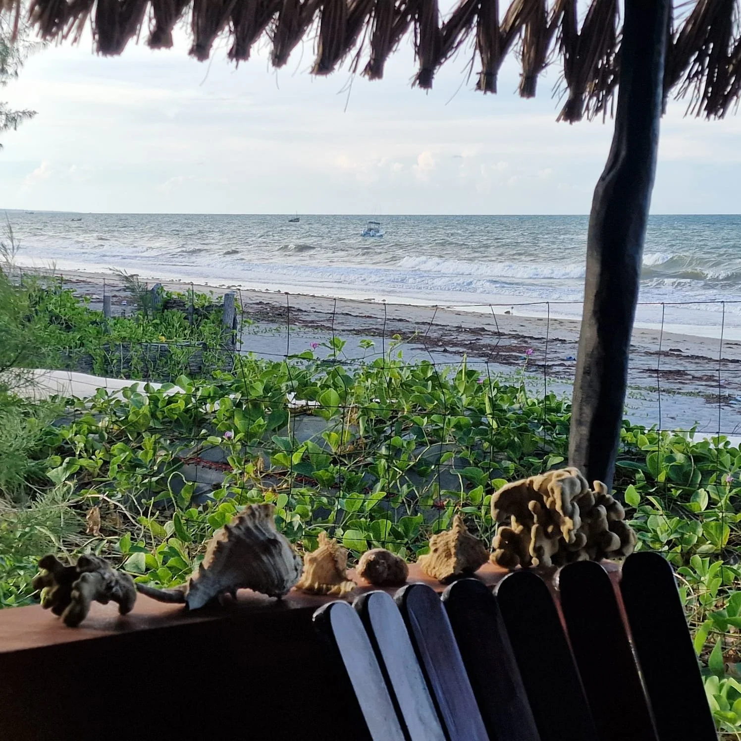 View of the ocean in Inhassoro, Mozambique, with boats in the distance, seen from a shaded area with greenery, shells, and a wooden structure in the foreground.
