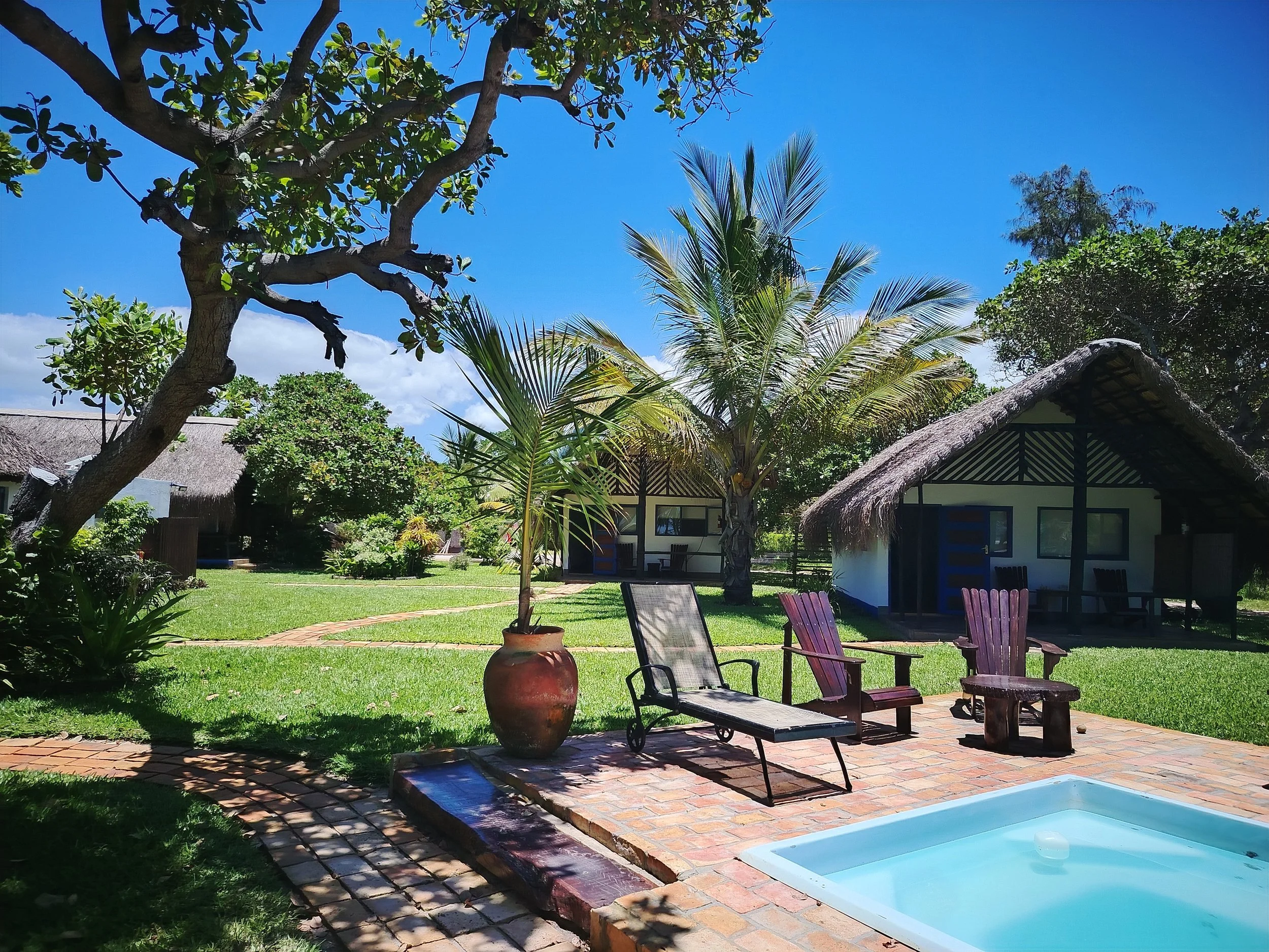 A backyard scene with a swimming pool, colorful chairs, potted plant, trees, and a house with a thatched roof under a bright blue clear sky.
