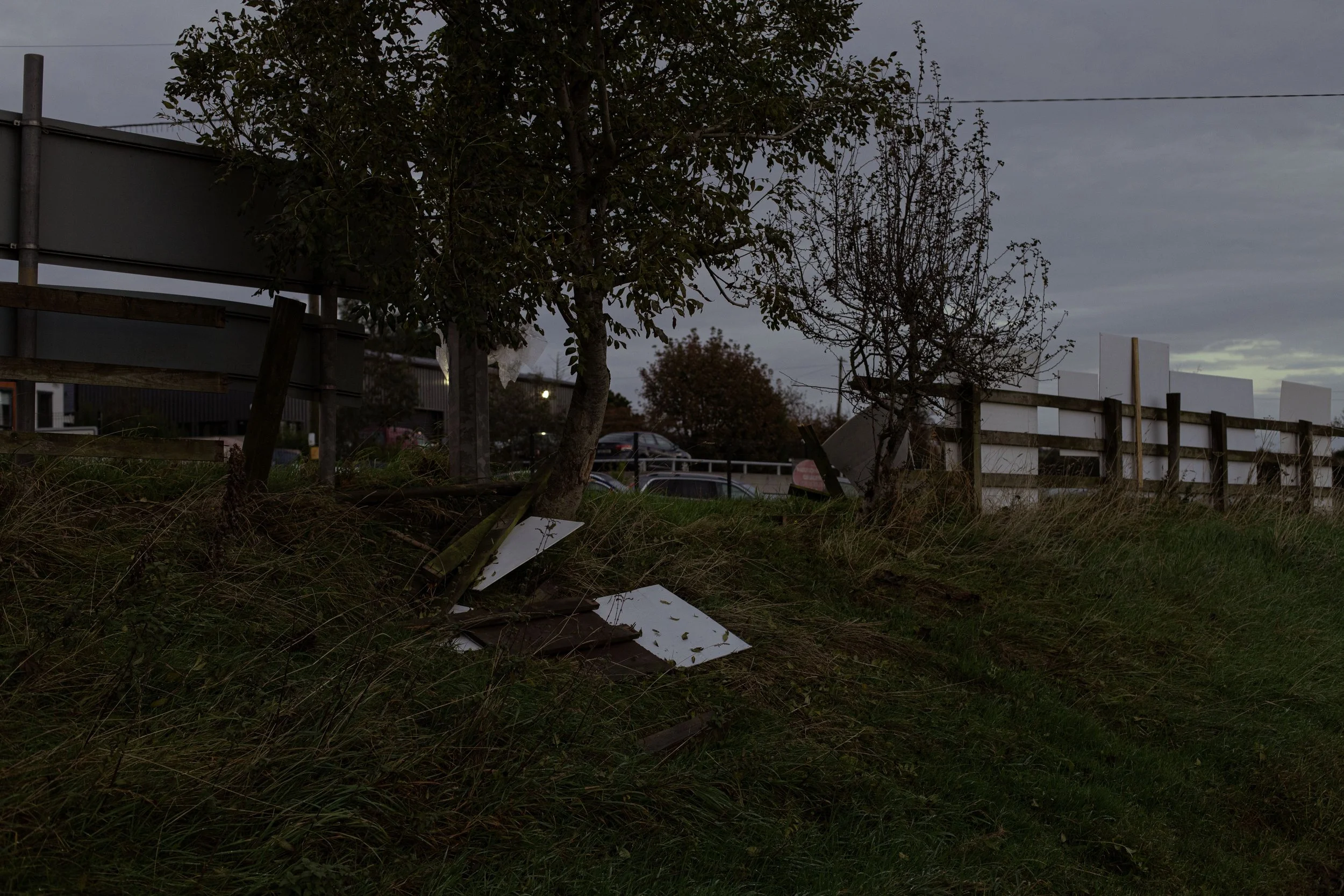 CarlinSamB00935206IMG_9761 copy.jpg